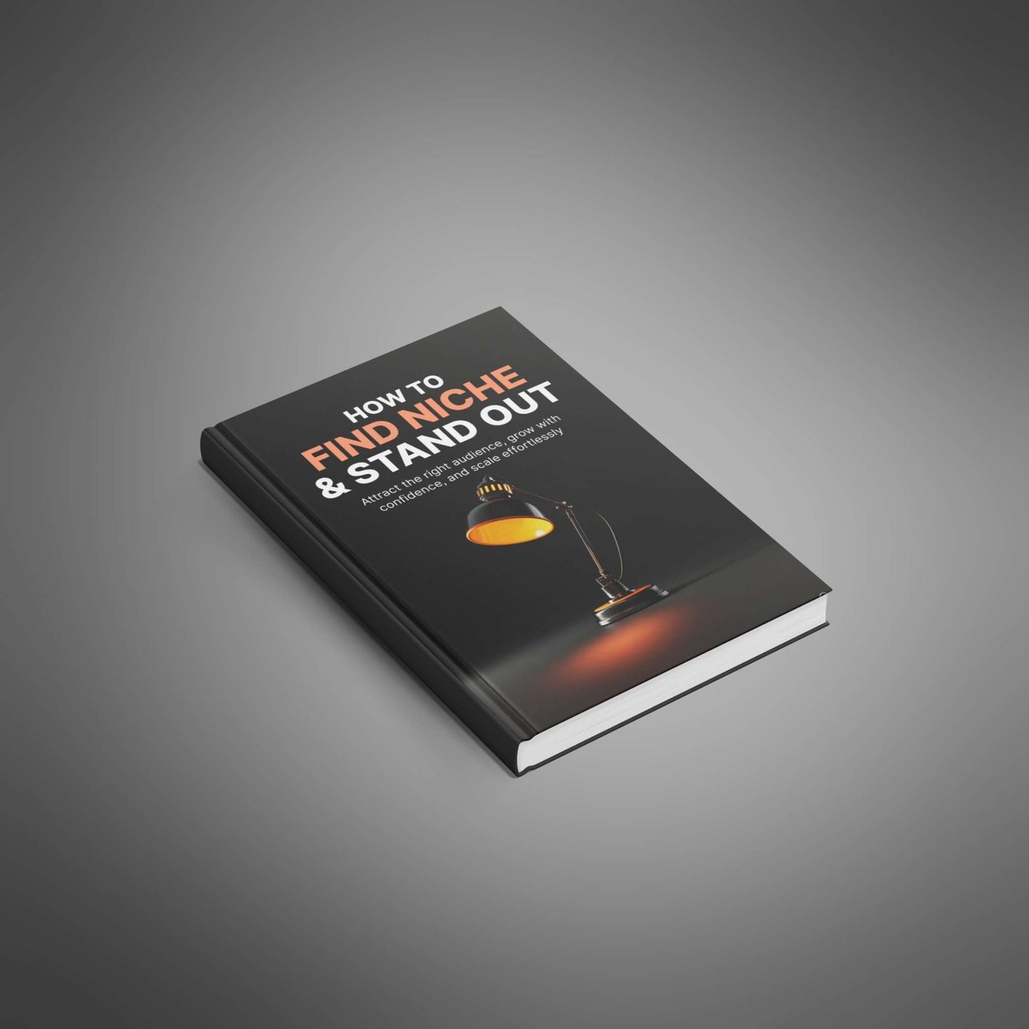 Find Your Niche Fast: Step-by-Step Guide