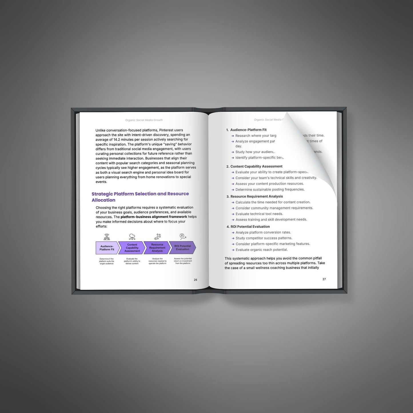 Organic Social Media Growth - No Ads Needed